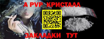стаф Кингисепп