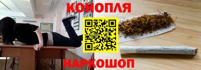 стаф Кингисепп