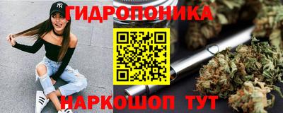 стаф Кингисепп