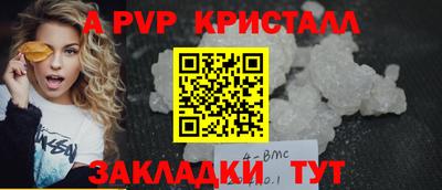 стаф Кингисепп