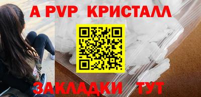 стаф Кингисепп