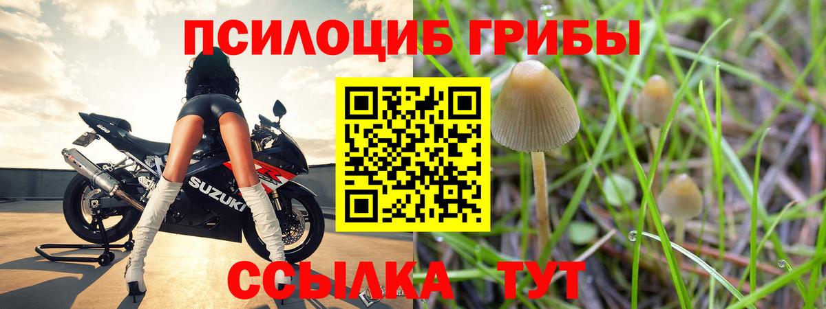 Галлюциногенные грибы ЛСД  Вход с VPN  что такое наркотик  Конаково 